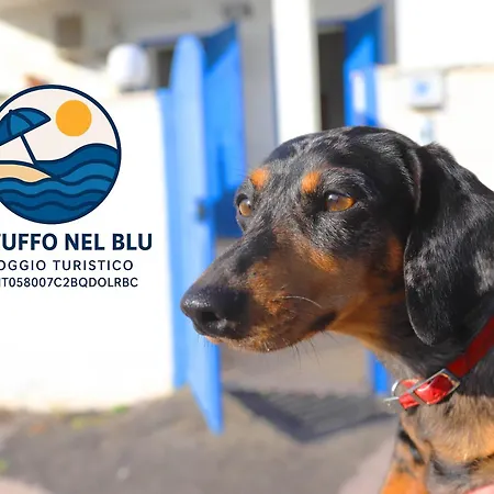 Un Tuffo Nel Blu Apartamento